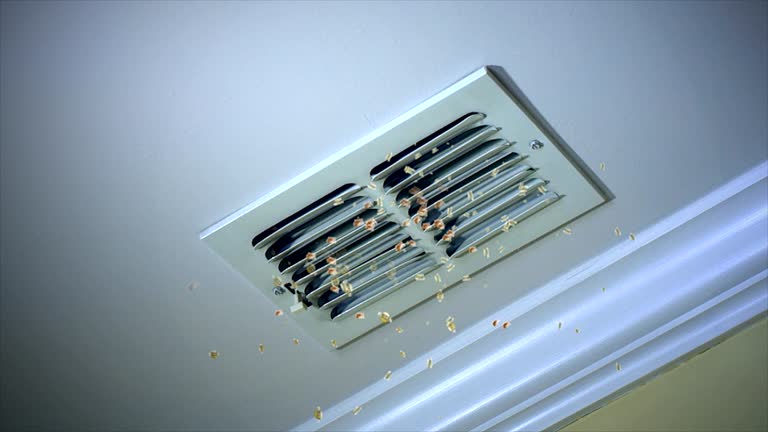 Best Best Air Duct Cleaning Near Me  in Wadesboro, NC